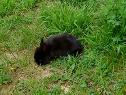 DSC01303