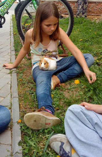 DSC01309